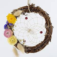 Dreamcatcher: Natural Twig Botanical (6”) - DCB101