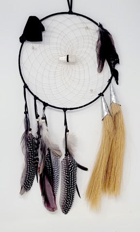 Dreamcatcher: Teaching (9”) - DC94