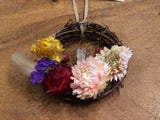 Dreamcatcher: Natural Twig Botanical (3”) - DCB100
