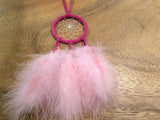 Dreamcatcher: Pastel (2”) - DC411
