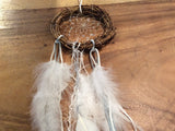 Dreamcatcher: Seasons Twig (6”) - DCW5