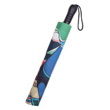 Collapsible Umbrella - Some Watched the Sunset (4133)