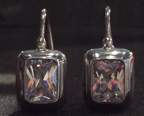 Silver Earrings (07-08-0082-01)