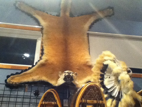 Cougar Rug
