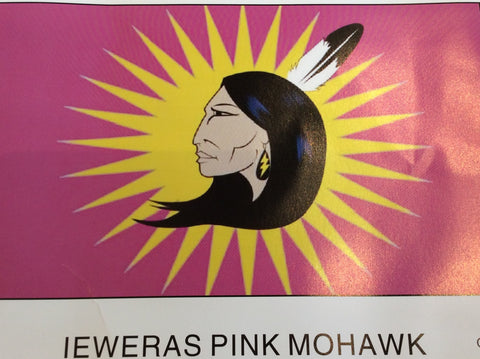Ieweras Pink Mohawk Warrior Flag (36”x60”)