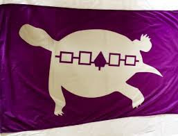 Turtle with Iroquois Confederacy Flag